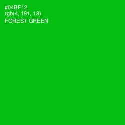 #04BF12 - Forest Green Color Image