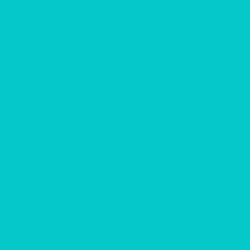 #04C8C9 - Robin's Egg Blue Color Image