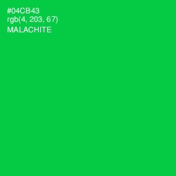 #04CB43 - Malachite Color Image