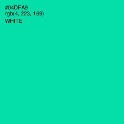 #04DFA9 - Caribbean Green Color Image