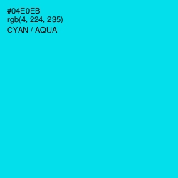 #04E0EB - Cyan / Aqua Color Image