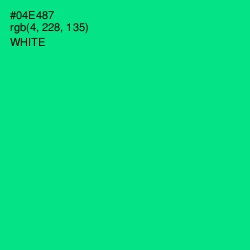 #04E487 - Caribbean Green Color Image