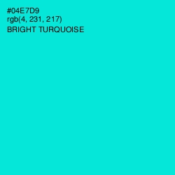 #04E7D9 - Bright Turquoise Color Image