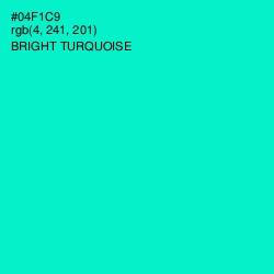 #04F1C9 - Bright Turquoise Color Image