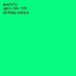 #04F97D - Spring Green Color Image