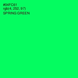 #04FC61 - Spring Green Color Image