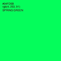 #04FD5B - Spring Green Color Image