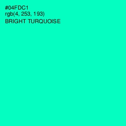 #04FDC1 - Bright Turquoise Color Image