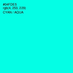 #04FDE5 - Cyan / Aqua Color Image