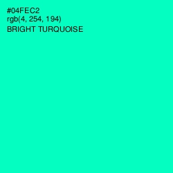 #04FEC2 - Bright Turquoise Color Image