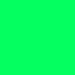 #04FF61 - Spring Green Color Image
