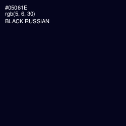 #05061E - Black Russian Color Image