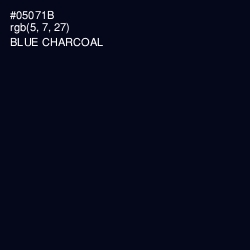 #05071B - Blue Charcoal Color Image