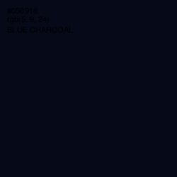 #050918 - Blue Charcoal Color Image