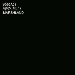 #050A01 - Marshland Color Image