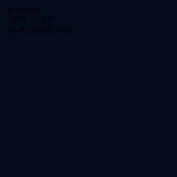 #050B1B - Blue Charcoal Color Image