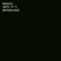 #050E01 - Marshland Color Image