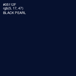 #05112F - Black Pearl Color Image