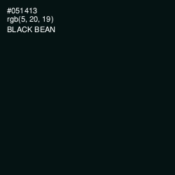 #051413 - Black Bean Color Image