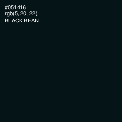 #051416 - Black Bean Color Image