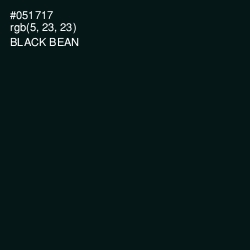 #051717 - Black Bean Color Image