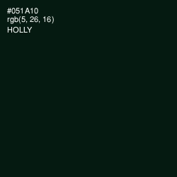 #051A10 - Holly Color Image