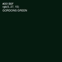 #051B0F - Gordons Green Color Image