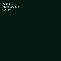 #051B11 - Holly Color Image