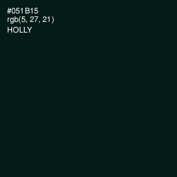 #051B15 - Holly Color Image