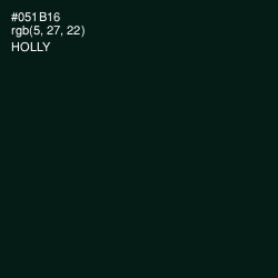 #051B16 - Holly Color Image