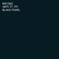 #051B22 - Black Pearl Color Image