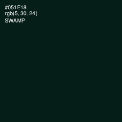 #051E18 - Swamp Color Image