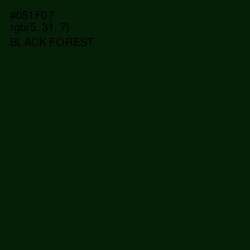 #051F07 - Black Forest Color Image