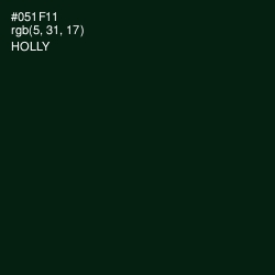 #051F11 - Holly Color Image