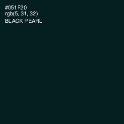 #051F20 - Black Pearl Color Image