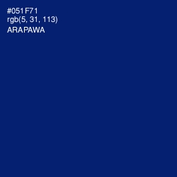 #051F71 - Arapawa Color Image