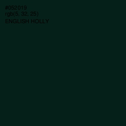 #052019 - English Holly Color Image