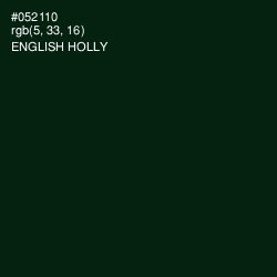 #052110 - English Holly Color Image