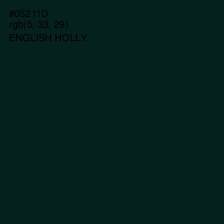 #05211D - English Holly Color Image