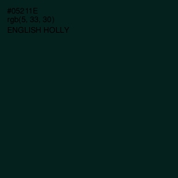 #05211E - English Holly Color Image