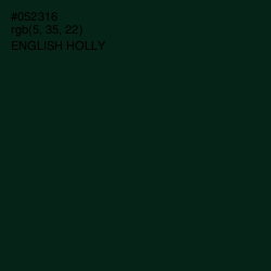 #052316 - English Holly Color Image