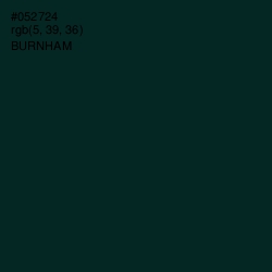 #052724 - Burnham Color Image