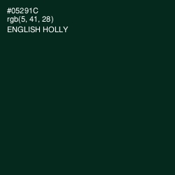 #05291C - English Holly Color Image