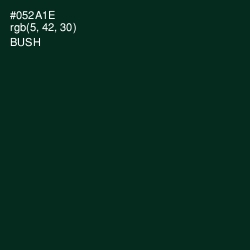 #052A1E - Bush Color Image