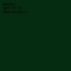 #052B10 - English Holly Color Image