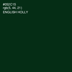 #052C15 - English Holly Color Image