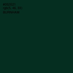 #052E21 - Burnham Color Image