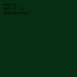 #052F10 - English Holly Color Image