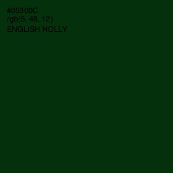 #05300C - English Holly Color Image