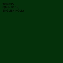 #05310A - English Holly Color Image